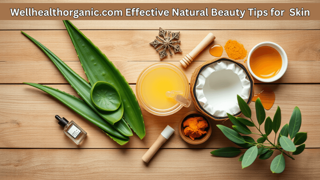 Wellhealthorganic.com Effective Natural Beauty Tips for Skin