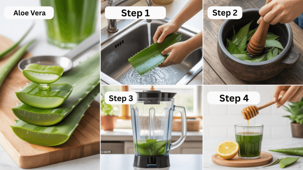 Wellhealthorganic.com _ Neem and Aloe Vera Juice Guide
