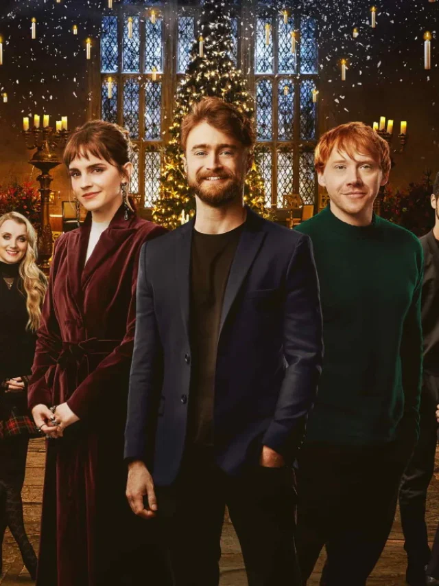harry potter hbo series
